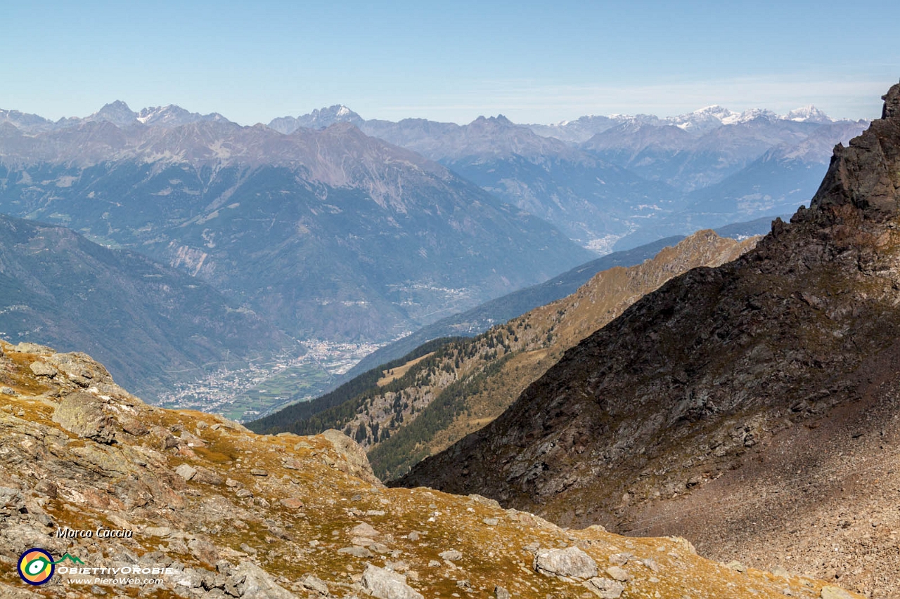 22_Valtellina con Ortles e Gran Zebrù.JPG